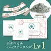BOTANICAL PEEL Botanical Peel Level 1 (1 Piece), Herb Peeling