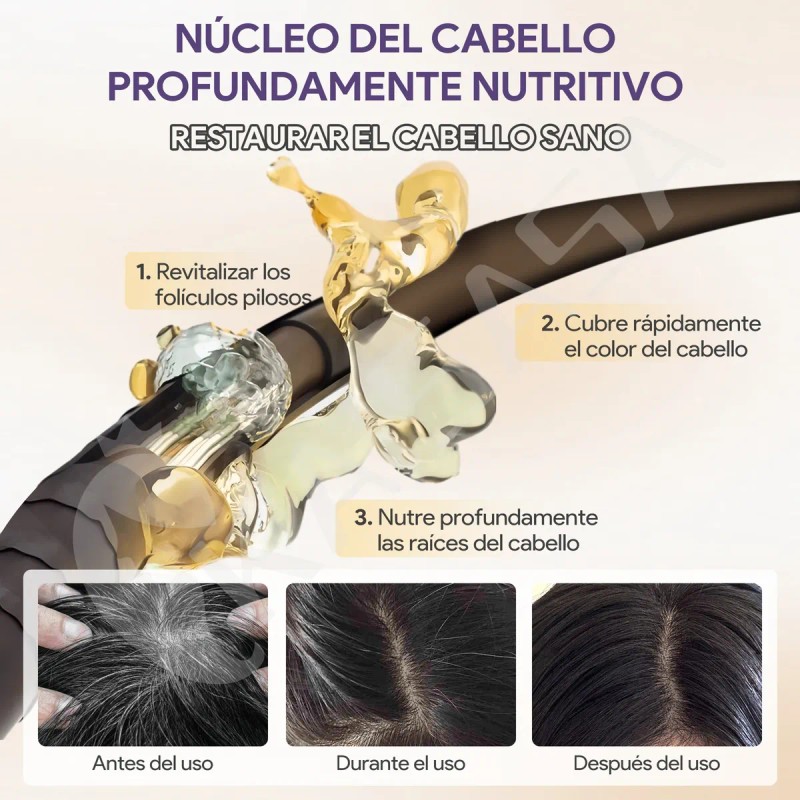 Kaisasa Hair Dye Shampoo Tinte Para Canas Con Aceite De
