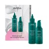 Aveda Botanical Repair™ Hair Strengthening Gift Set