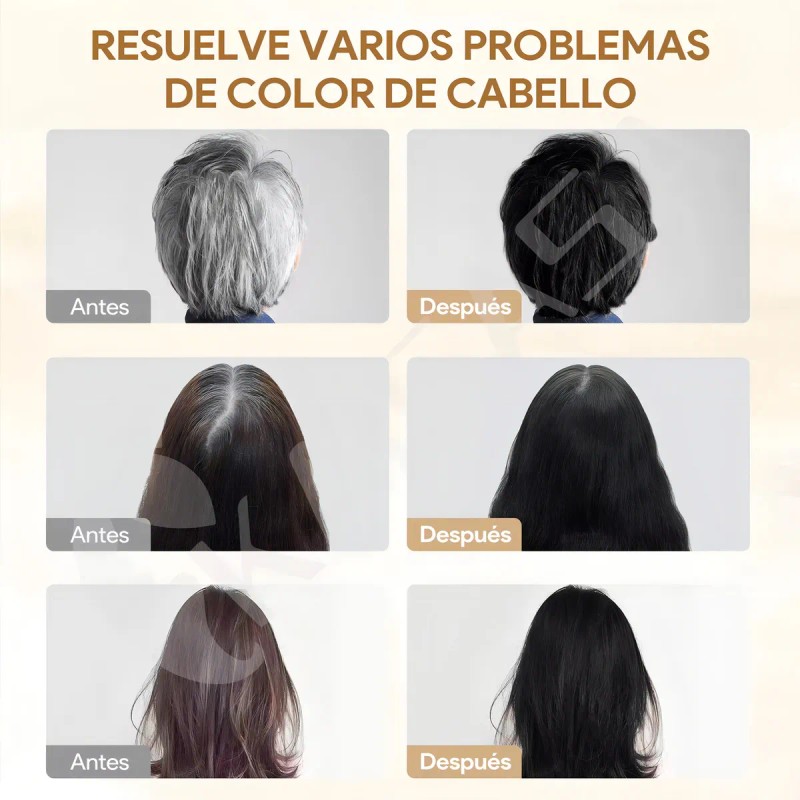 Kaisasa Shampoo Tinte Cubre Canas Natural Jengibre 500ml Negro