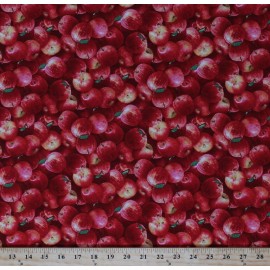 Elizabeth Studios Cotton Red Apples Fruits Food Autumn Harvest Cotton Fabric Print by Yard D375.14