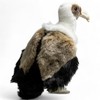 Carl Dick Vulture approx. 27 cm plush toy, soft toy,