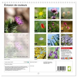 Éclosion de couleurs (Calendrier mural carré 2026 30 x 60 cm (ouvert)) Calendrier double avec une page pour vos prises de notes