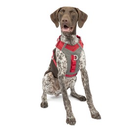 Kurgo Journey and Journey Air Dog Harness for Active Dogs, Padded Harness for Small, Medium, Large Dogs, Reflective Material, Anti-Pull D-Ring on Chest and Back