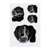 4 x 'Springer Spaniel Puppy' Temporary Tattoos - Water Resistant,