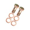 VekAuto 2 Set Banjo Bolt Brake Fitting Adapter M8x1.25 Thread