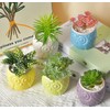 Cuteforyou Succulent Pots,Cute Cartoon Animal Owl Shaped Ceramic Succulent Cactus