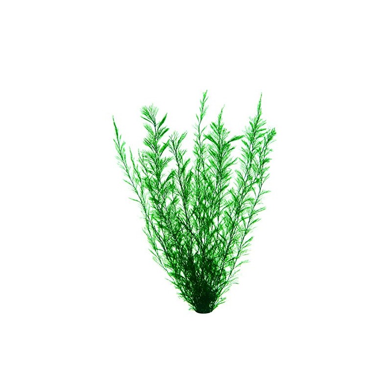 GEX Goldfish Vitality Goldfish Scenery Natural Snack Grass