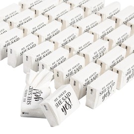 Fun Express She Said Yes Facial Tissue Pocket Packs, Bulk 100 Pc