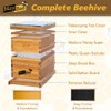 Beehive 8 Frame Bee Hives and Supplies Starter Kit, Bee