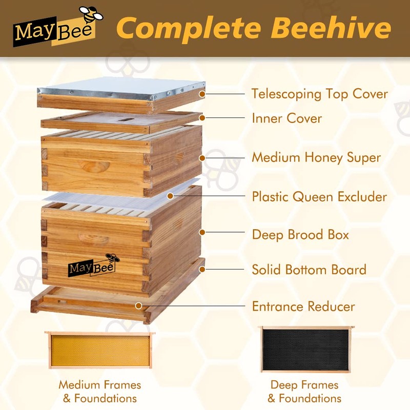 Beehive 8 Frame Bee Hives and Supplies Starter Kit, Bee
