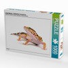 CALVENDO Puzzle Leopardgecko - Eublepharis macularius - 1000 Pieces Photo