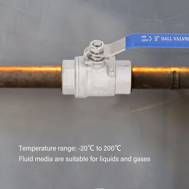 Full Port Ball Valve Stainless Steel Female Thread 3/4in 1000