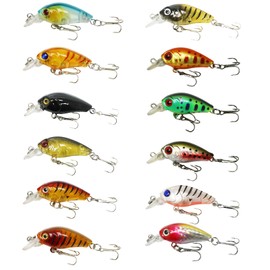Kasoud Fishing Lure Set, Fishing Bait for Lures Pike and Perch Trout (12)