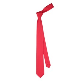DWOY Necktie for Men and Women Solid Color Slim Men's Tie 6 cm (Red)