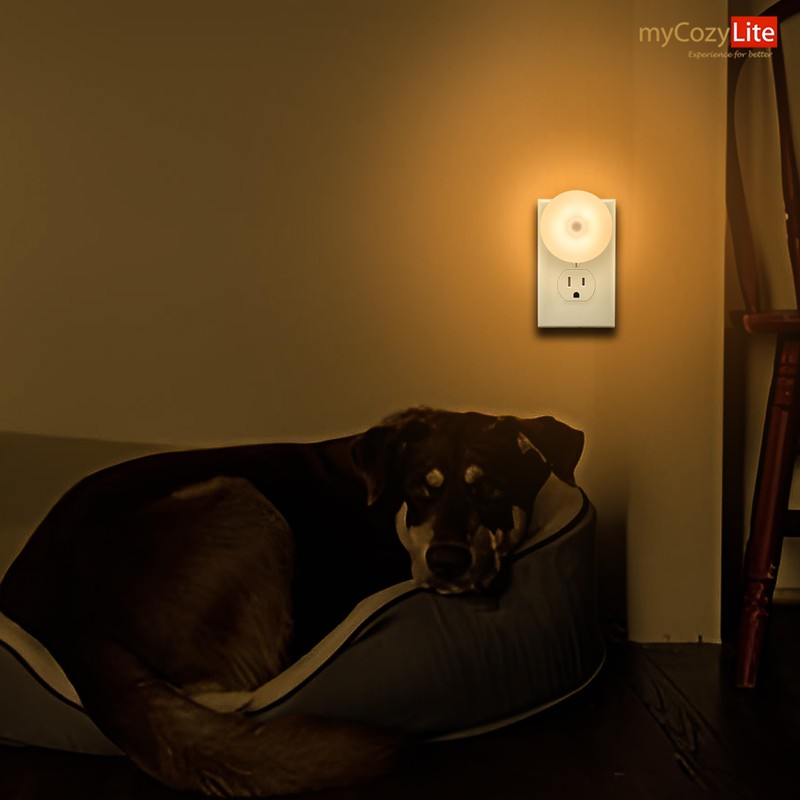 Motion Sensor Night Light, 2 Pack Motion Activated Night Light