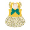 CuteBone Dog Dress for Small Dogs Girl, Banana Summer Dresses