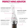 Jwalin Wine Aerator and Pourer – Premium Air Decanter Spout