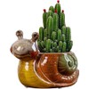 WENDIN Cute Ceramic Succulent Pot Small Indoor Animal Shaped Planter