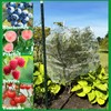 3 Pack Fruit Tree Netting 7x6 Ft Garden Netting for