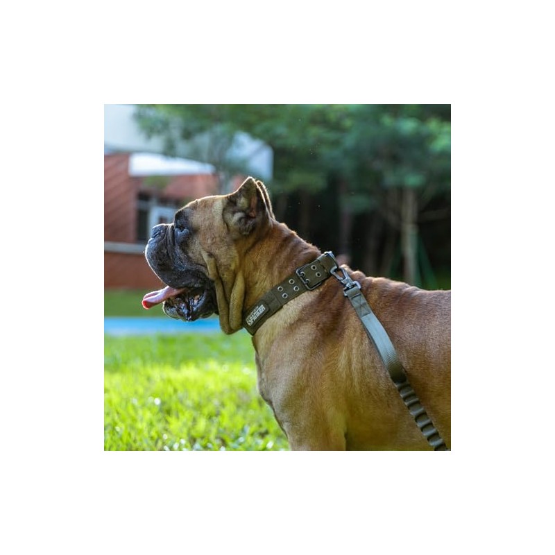 EXCELLENT ELITE SPANKER Collar de Perro táctico de Nylon Collar