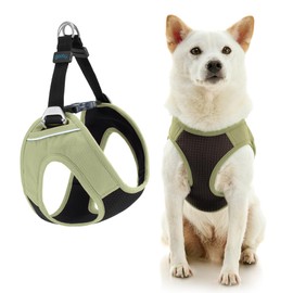 Gooby Dog Harness, Small, Portland Green - Easy Fit Plus, Escape Free, Reflective, Padded