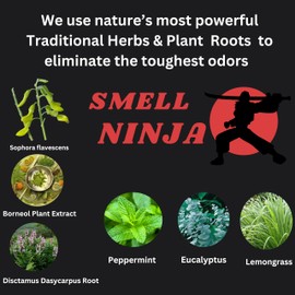 Shoe and Foot Odor Eliminator