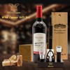 Mincham Wine Opener, Air Pressure Corkscrew Wine Bottle Opener with