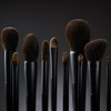 Surratt Artistique Classique Shadow Brush Grande - Large