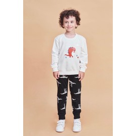 Toddler Boys Dinosaur 2T Jogger Pants Little Boys' Drawstring Elastic Waist Cotton Casual 2T Sweatpants 2 Pack Set Black Red 3T