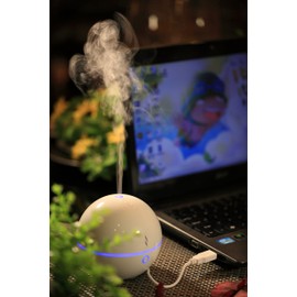 SPT SA-028 USB Globe Ultrasonic Aroma Diffuser/Humidifier