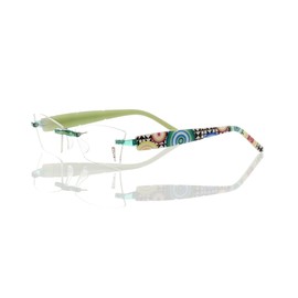 Switch-It Brush 2142