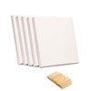 ADEPTNA Pack of 5 Artist Blank Stretched Canvas Frames -