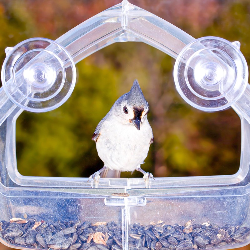 Clear Plastic Window Bird Feeder Suction Cups, 5-Pack, Replacement Parts