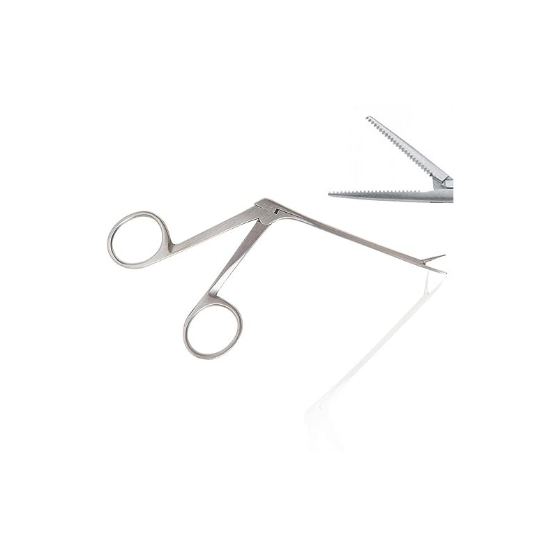AAPROTOOLS 3.5" Alligator Forceps, Stainless Steel