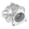 BorgWarner 7496D/1 EGR Valve