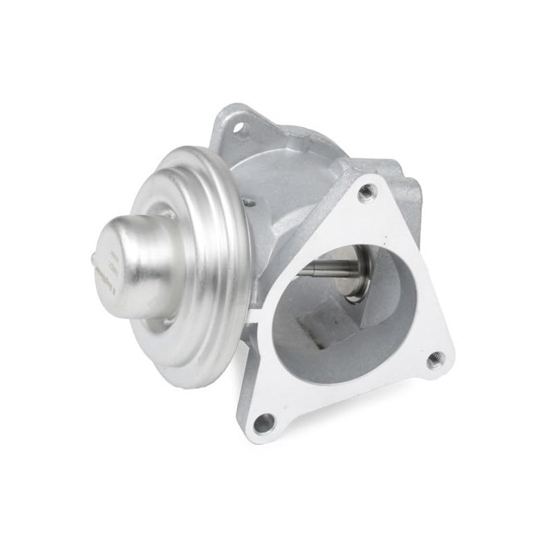 BorgWarner 7496D/1 EGR Valve
