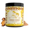 COMMONS Hongos Adaptógenos Hongo Chaga Extracto Puro en Polvo