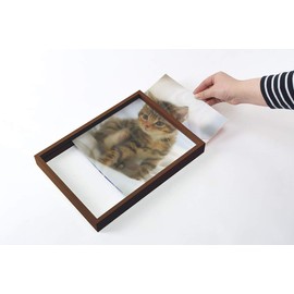 Wood Frame A4 Clear File Exclusive Frame (Black)