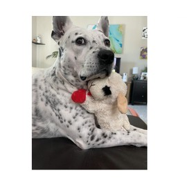 Lamb Chop Classic TV Puppet Character Dog Toy Soft Plush Squeaker Choose Size (Jumbo - 24")