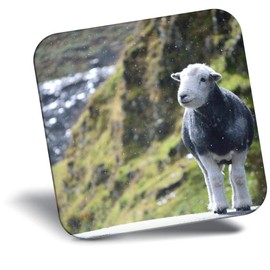 Destination Vinyl ltd Fridge Magnet - Cute Herwick Sheep Lamb for Office, Cabinet and Whiteboard, Magnetic Stickers, 44781