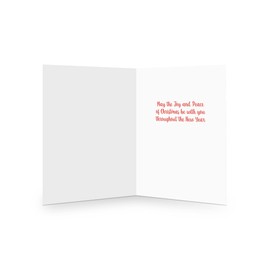 Stonehouse Collecton - Holiday Palm Santa Flyby Tropical Christmas Cards - 18 Christmas Cards and Enveopes (Standard)