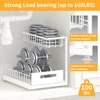2 Pack Under Sink Organizer Storage 2-Tier Premium Metal Pull-Out