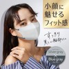 B-Style Mask, 3D Type, Silver Gray x Blue Gray, 20