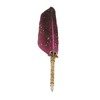 Feather Pen Set with 10 Interchangeable Nib Fire Lacquer Wax