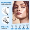 Bodermincer Lash Extension 240pcs C Curl 10D/20D Cluster 8/9/10/11/12mm,10/11/12/13/14mm,12/13/14/15/16mm Mixed