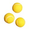 Charlsten Tennis Balls Set of 3
