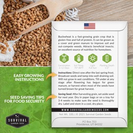 Survival Garden Seeds Buckwheat Seed for Planting - 3 Packets with Instructions to Plant & Grow a Cover Crop & Buckwheat Grain Plants in Your Home Vegetable Garden - Non-GMO Heirloom Variety