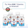 KAL CalMagZinc Tablets, 100040015 mg, 250 Count by Kal