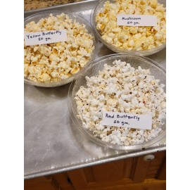 Unbranded mushroom popcorn - 6 oz. mushroom popcorn kernels